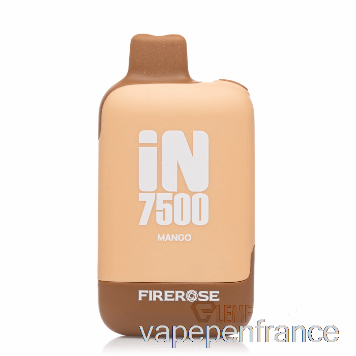 Firerose Dans Un Stylo Vape Jetable à La Mangue 7500